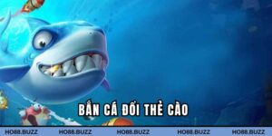 Bắn cá đổi thẻ cào