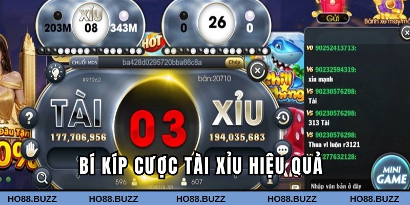 Bật mí bí quyết đánh tài xỉu cực hiệu quả