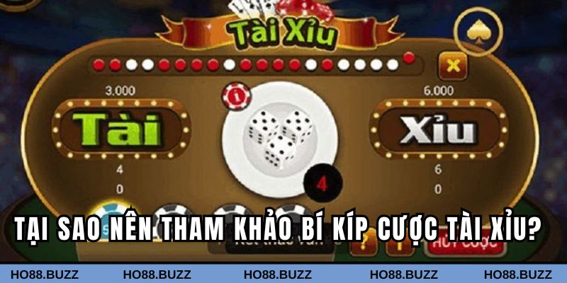Tại sao nên tham khảo bí kíp cược tài xỉu tại HO88?