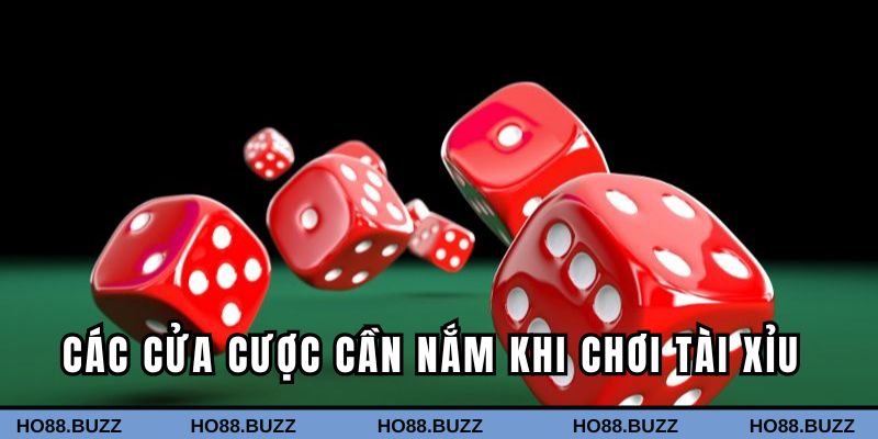 Tổng hợp các cửa cược cần nắm trong game