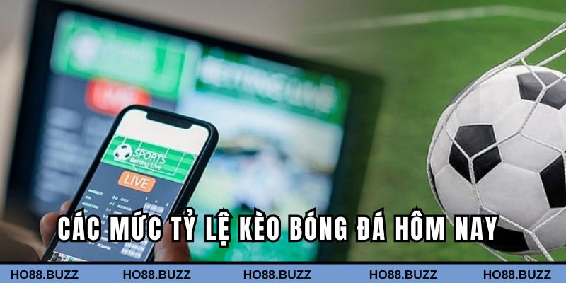 Các mức tỷ lệ kèo cược bạn cần nắm chắc