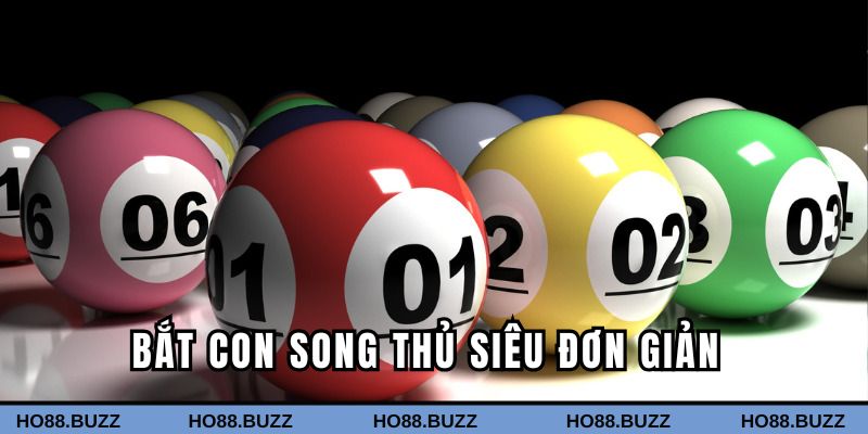 Bắt con song thủ đơn giản