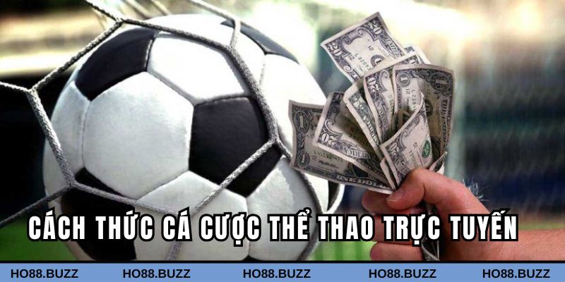 Từng bước tham gia cá độ đơn giản cho bet thủ