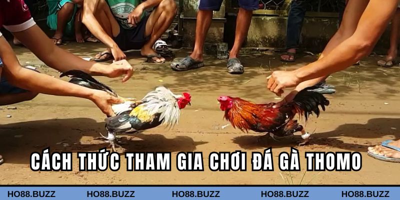 Từng bước tham gia cược game hiệu quả cho tân thủ