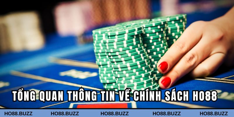 Tổng quan thông tin về chính sách Ho88