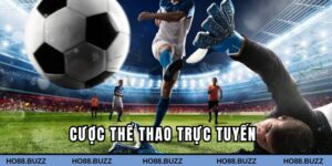 Cược thể thao trực tuyến