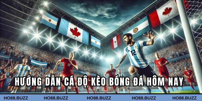 Hướng dẫn cá độ dành cho bet thủ