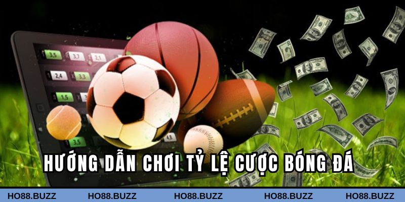 Từng bước tham gia cá độ tại Ho88