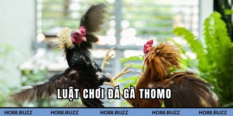 Luật chơi game bet thủ cần nắm khi cá cược