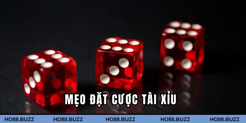 mẹo đặt cược tài xỉu