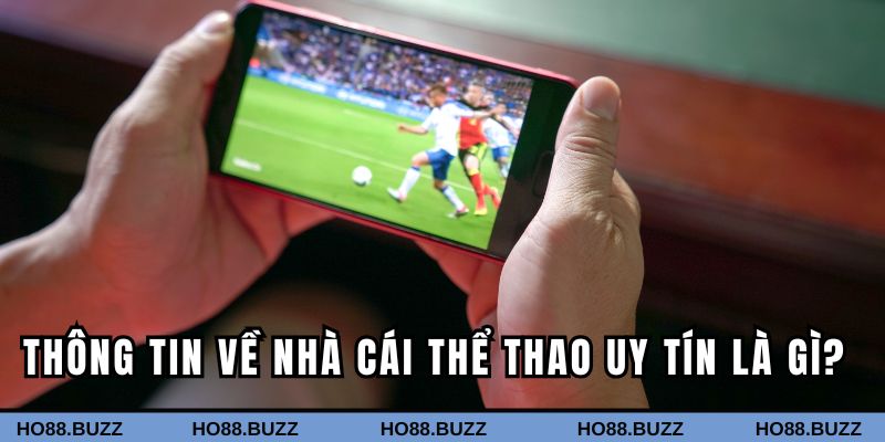 Thông tin về nhà cái thể thao uy tín là gì?